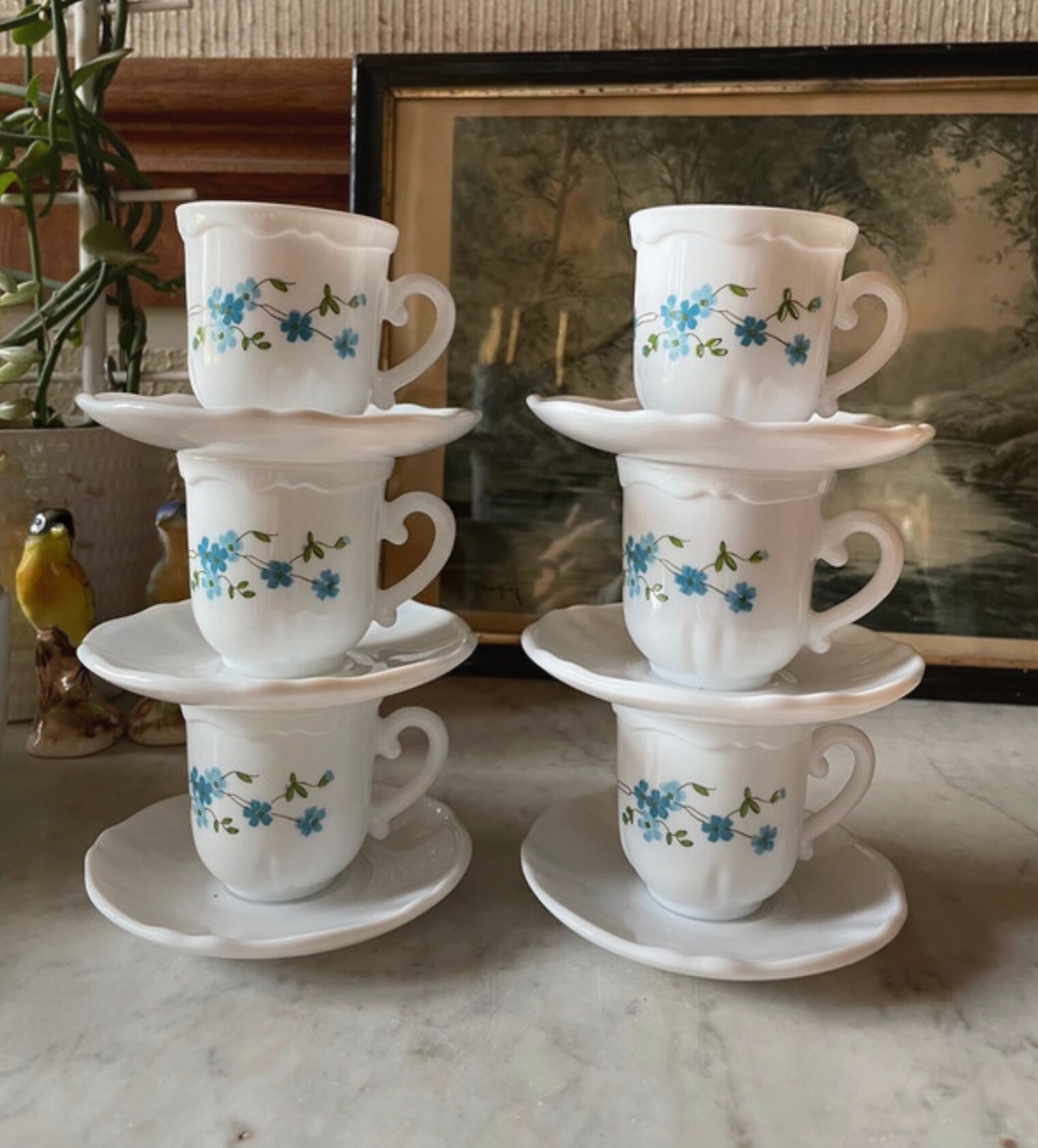 Coffee service Forget-me-not Arcopal