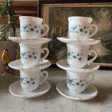 Coffee service Forget-me-not Arcopal
