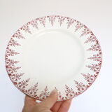 Flat plates red iron earth