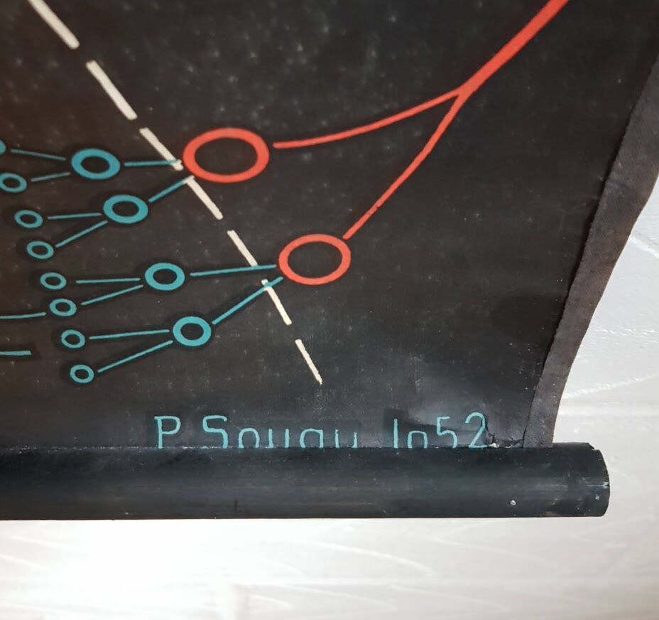 Vintage school poster by Paul Sougy - Le Pin, 1952