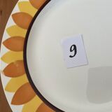 Flat plates model TOURNESOL DIGOIN