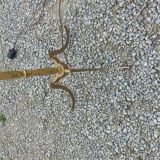 50s floor lamp in gilded brass