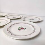 6 Sarreguemines earthenware dessert plate with flowers, Armelle model
