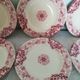 Old plate earthenware of Lunéville KG model "Ivy ".