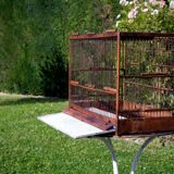 Wooden birdcage year 50