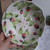 Slurry fruit plate and drainer