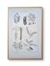 Printed in 1889, legumes. Antique botanical plate.