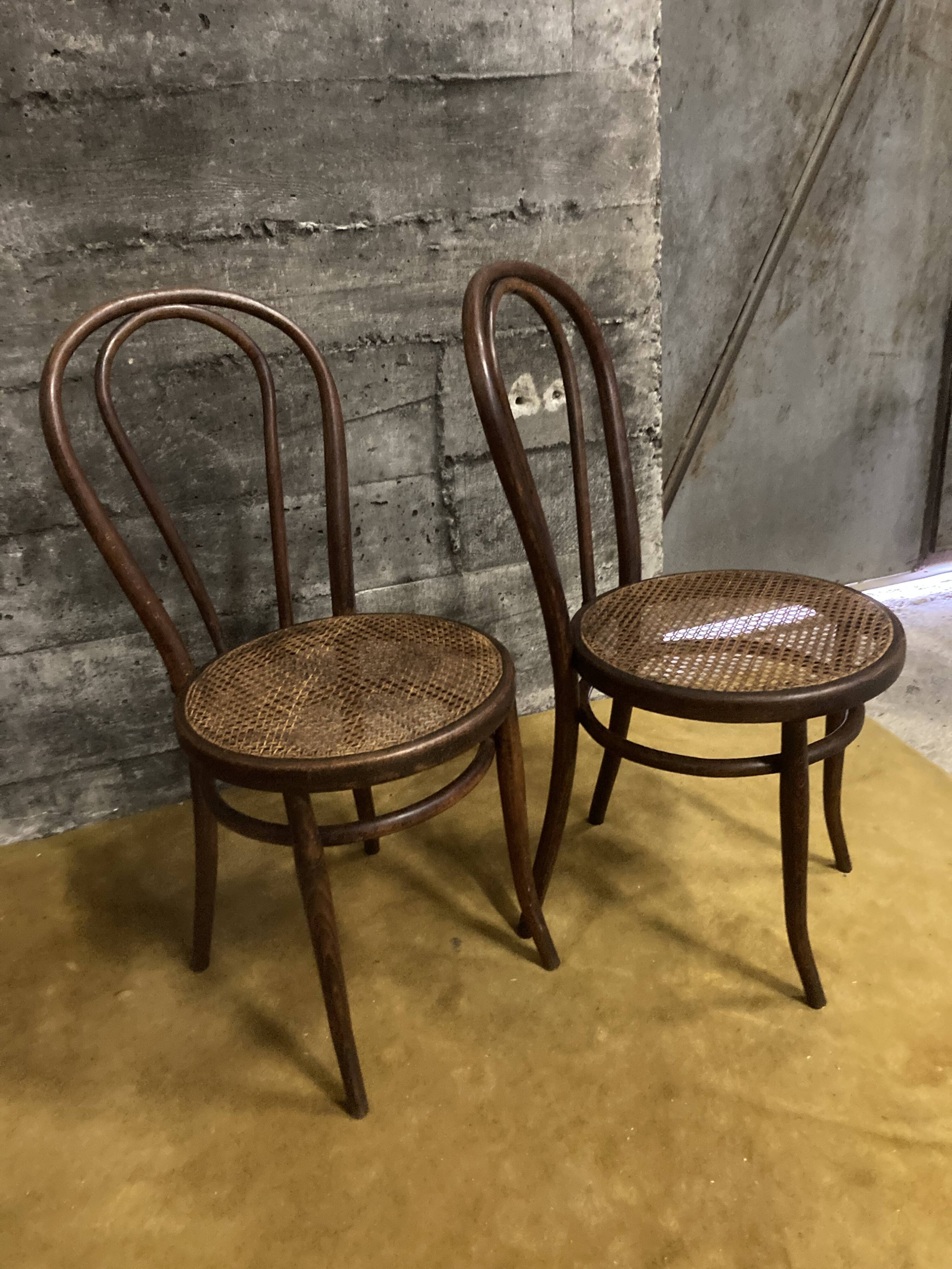 Duo of chairs bistrot Thonet early XXth