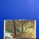 Landscape in oil on canvas signed