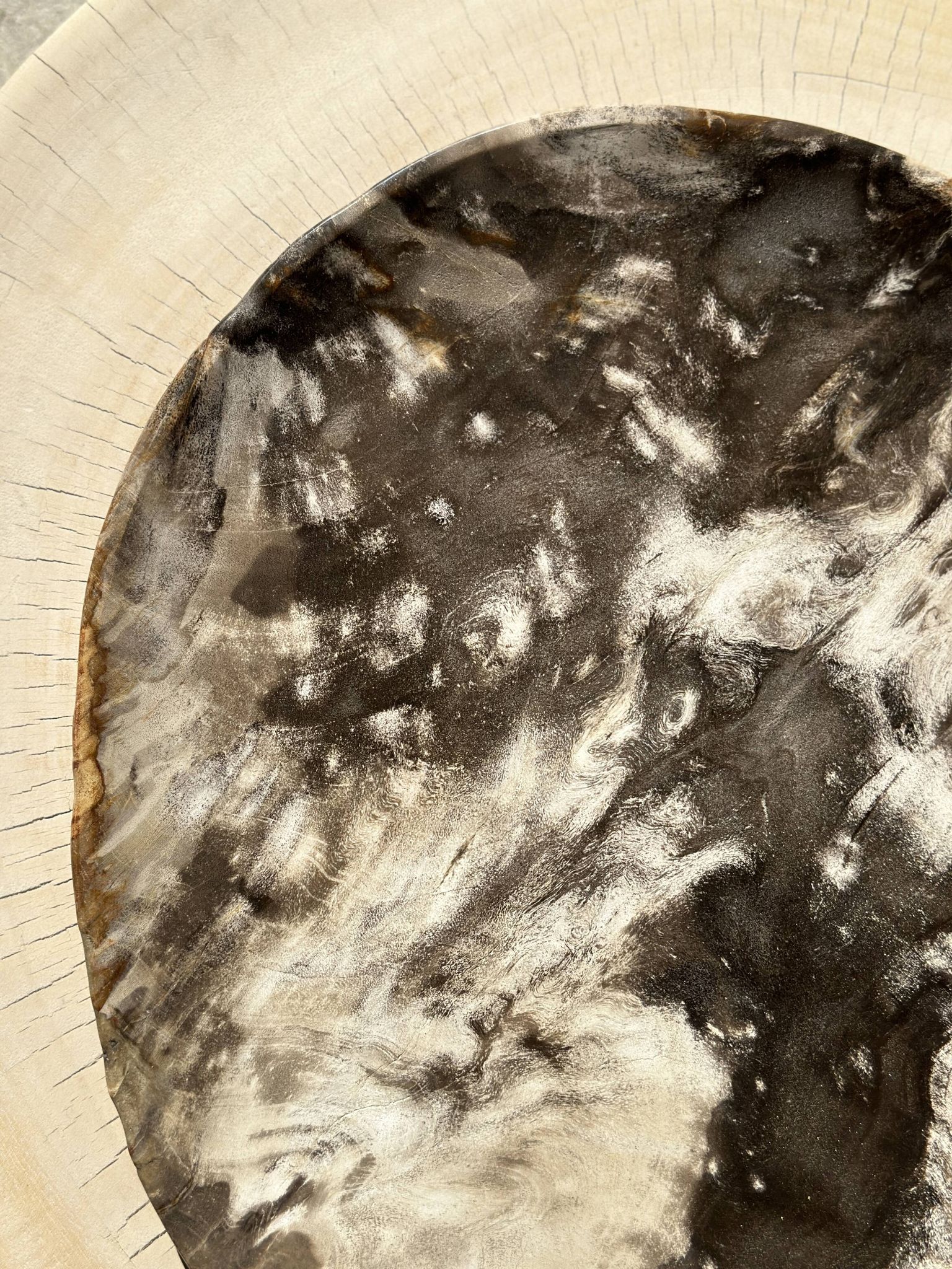 Très grand vide poche ou plat en bois pétrifié