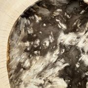 Très grand vide poche ou plat en bois pétrifié