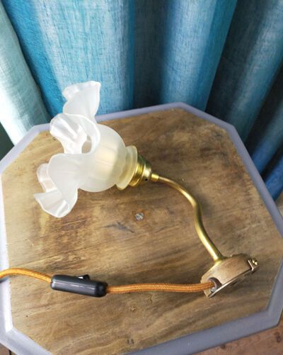 Tulip frosted glass wall lamp