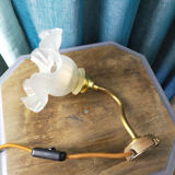 Tulip frosted glass wall lamp