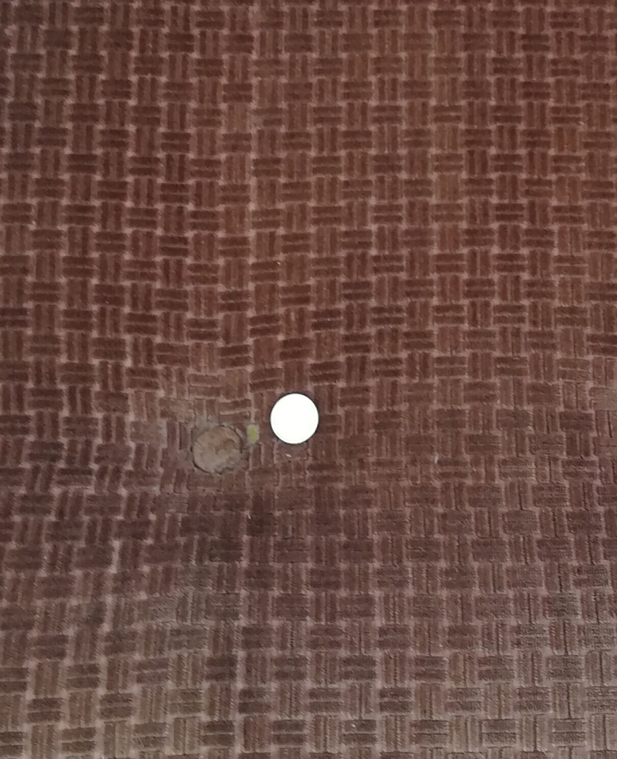 Scandinavian elm sofa