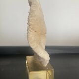 Vintage coral on plexiglass base