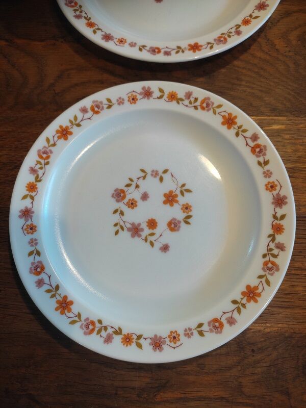 Flat plates Arcopal orange flowers