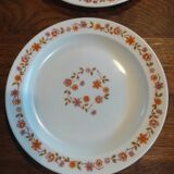 Flat plates Arcopal orange flowers