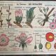 Old school educational poster, school