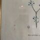 Vintage botanical boards frames