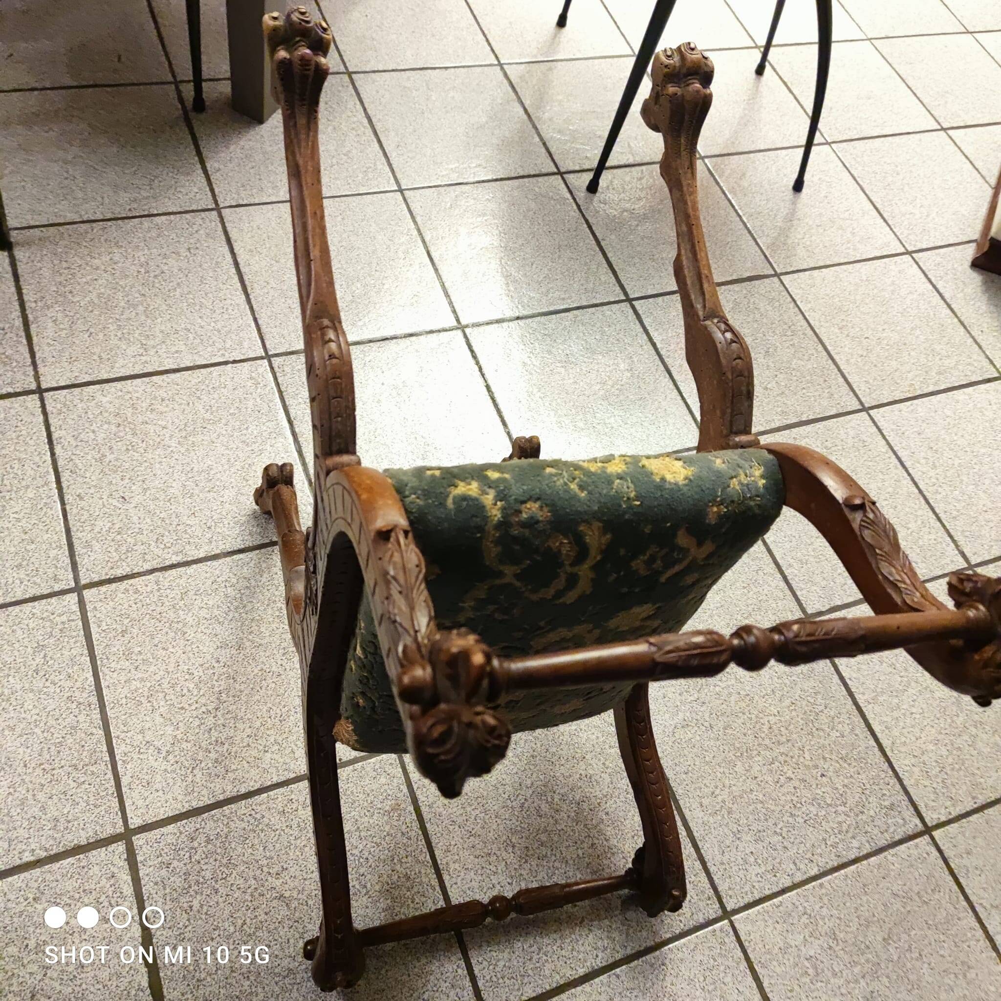 Dagobert curule armchair in walnut