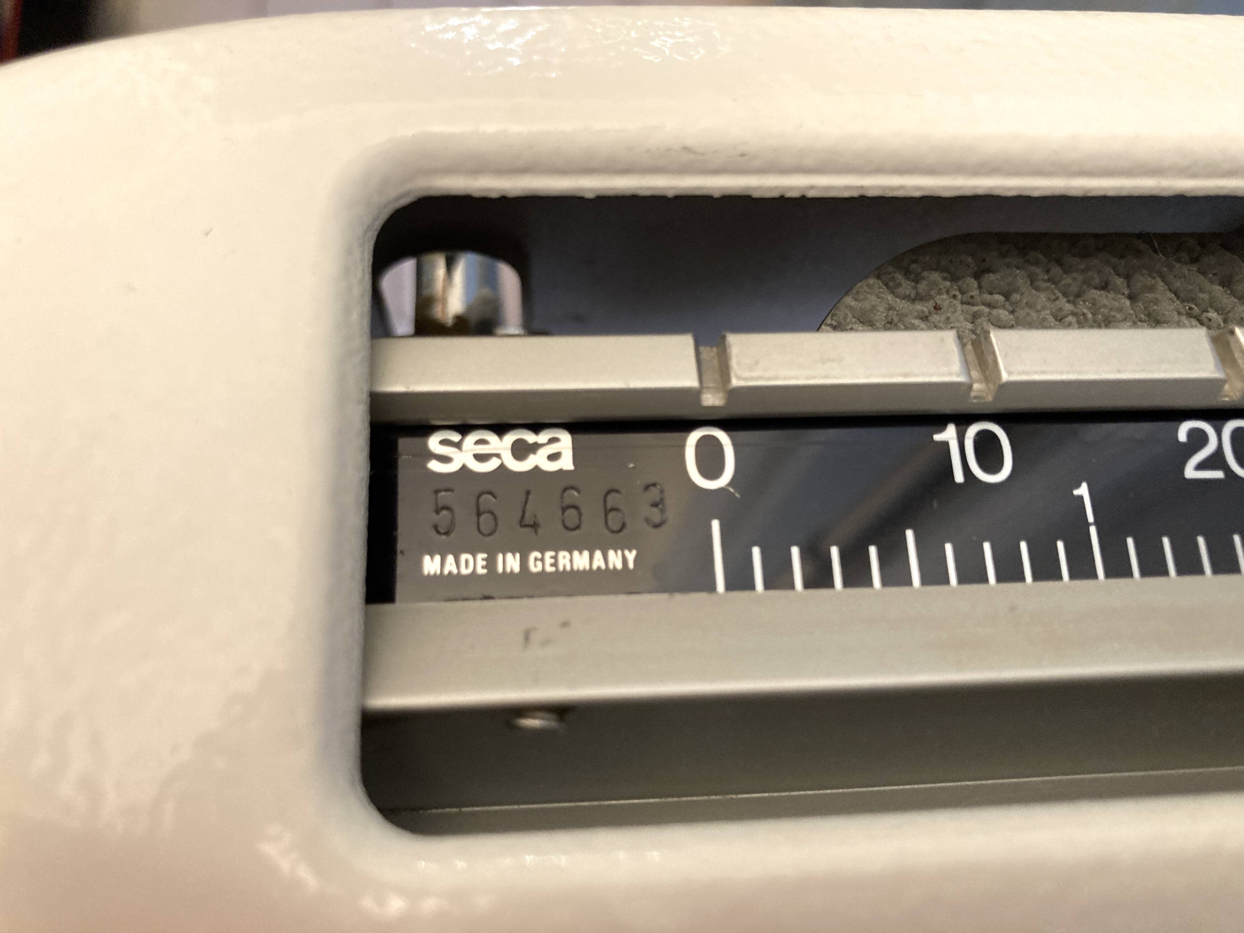 Personal scale and medicine measuring rod