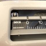 Personal scale and medicine measuring rod