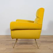 Mid-Century Armchair by Gigi Radice for Minotti, Italy, 1960s