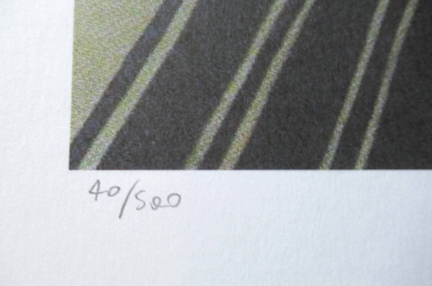 Lithographie de David Hockney signée et numérotée
