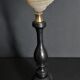 Cabinet of Curiosities shell tonna sulcosa on pedestal