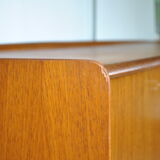 Scandinavian teak row 1970