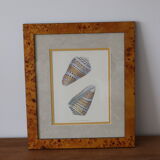 Wooden frame of magnifying glass naturalistic vintage shell