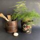Large measuring pot in wood and old iron, 19th century folk art