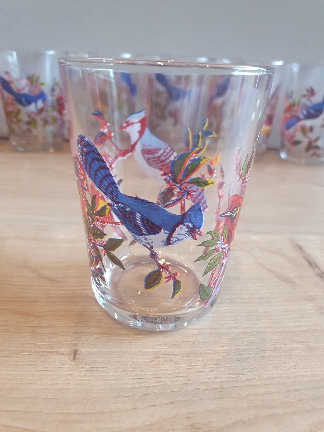 Vintage bird glasses