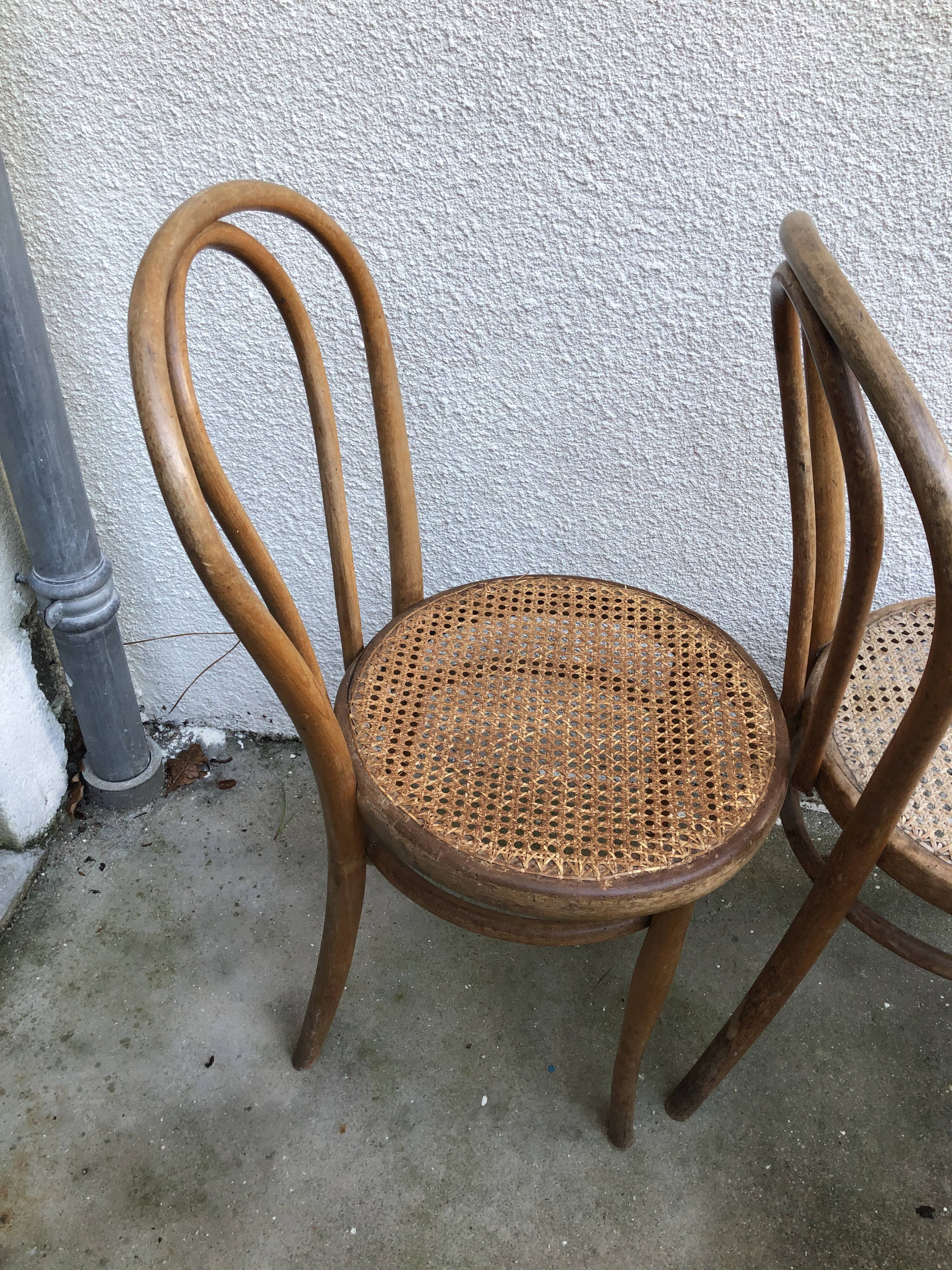 Thonet chairs