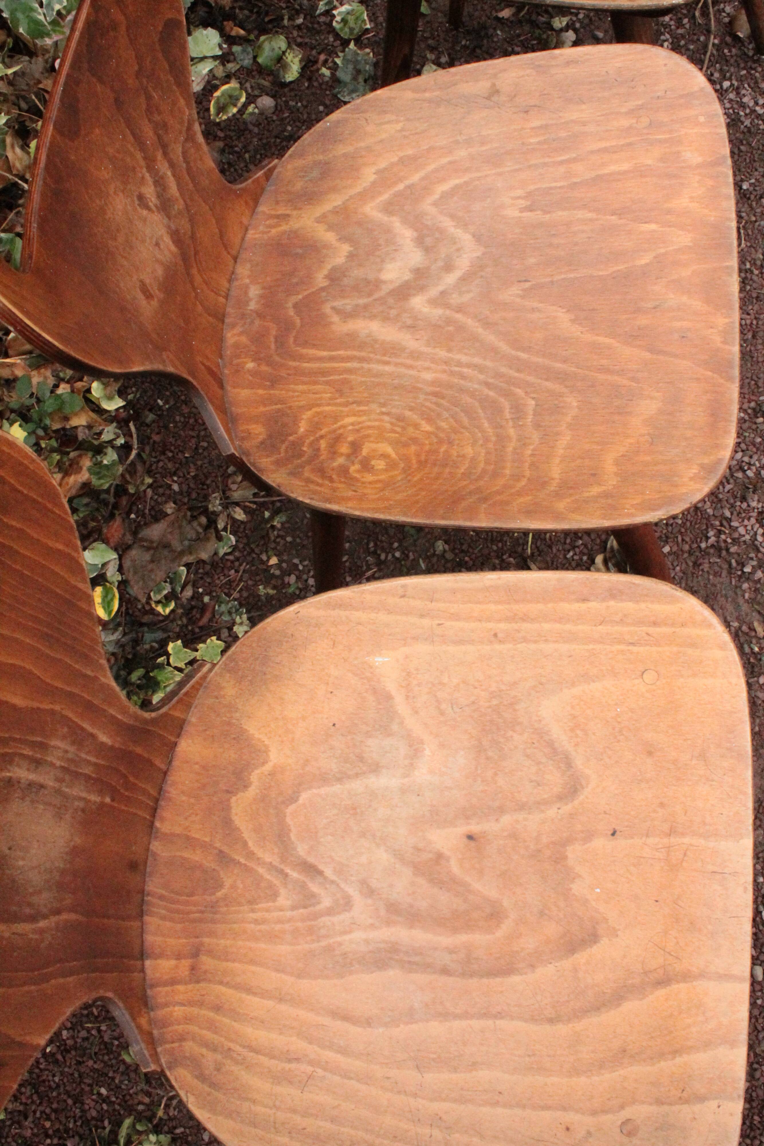 Set of 4 Baumann chairs, model called ant