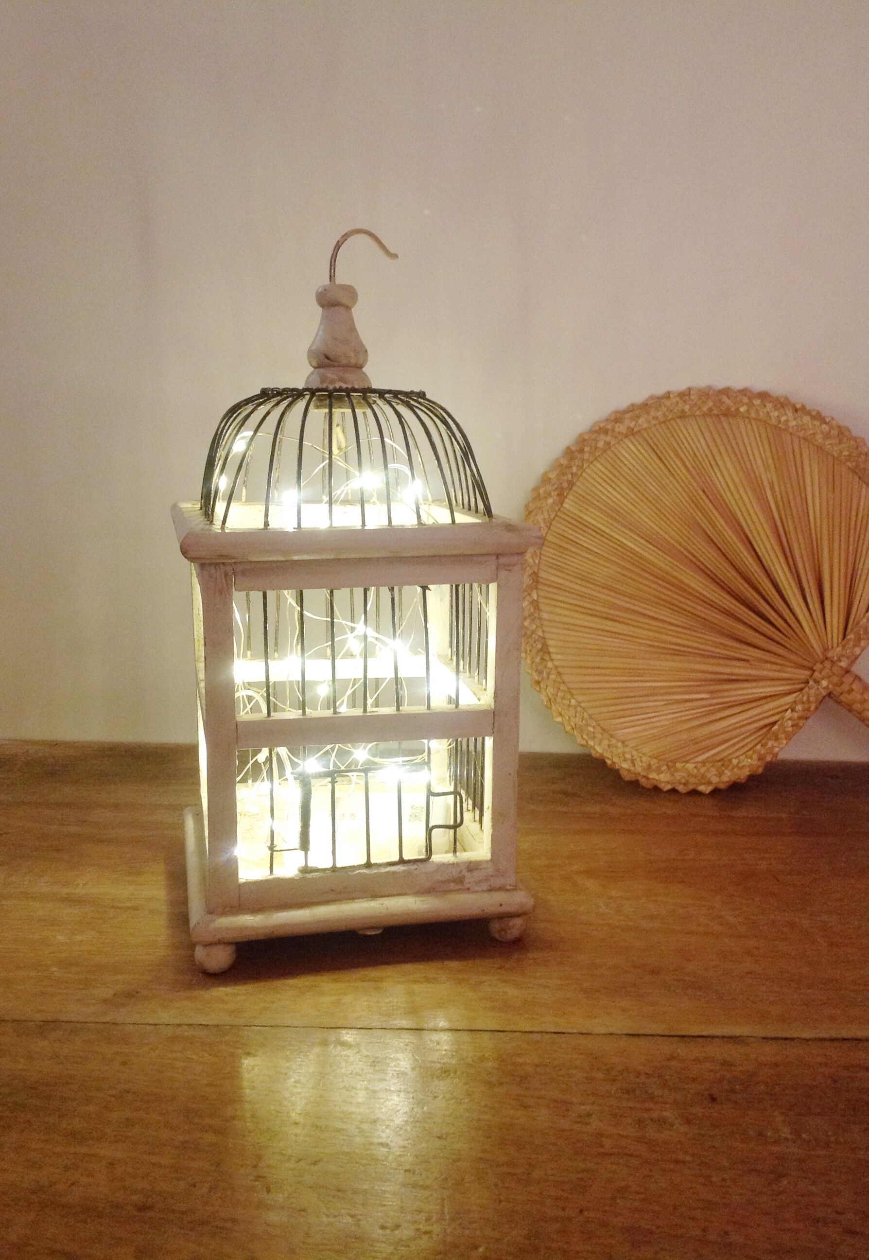Vintage bird cage
