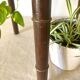 Plant holder, harness 2 trays