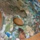 Old painter's palette