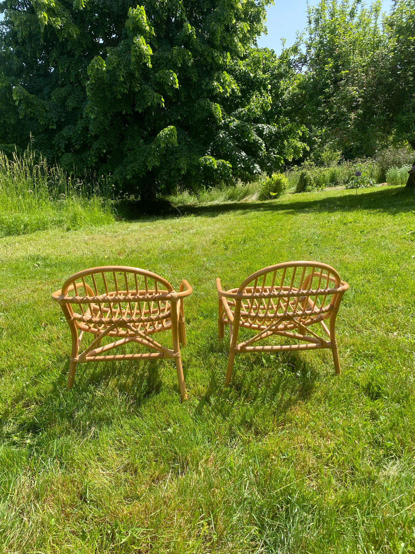 Pair of rattan armchairs