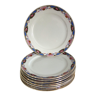 Lot de 9 assiettes plates Digoin début XXème