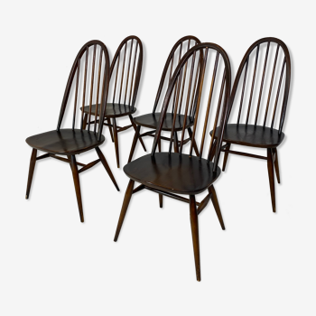 Ensemble de 5 chaises de salle à manger Quaker 365 de style scandinave vintage par Lucian Ercolani pour Ercol, années 1960