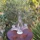 Glass torch candle holder 1950