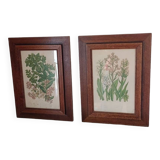 Duo botanical frames by hofleverancier