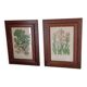 Duo botanical frames by hofleverancier