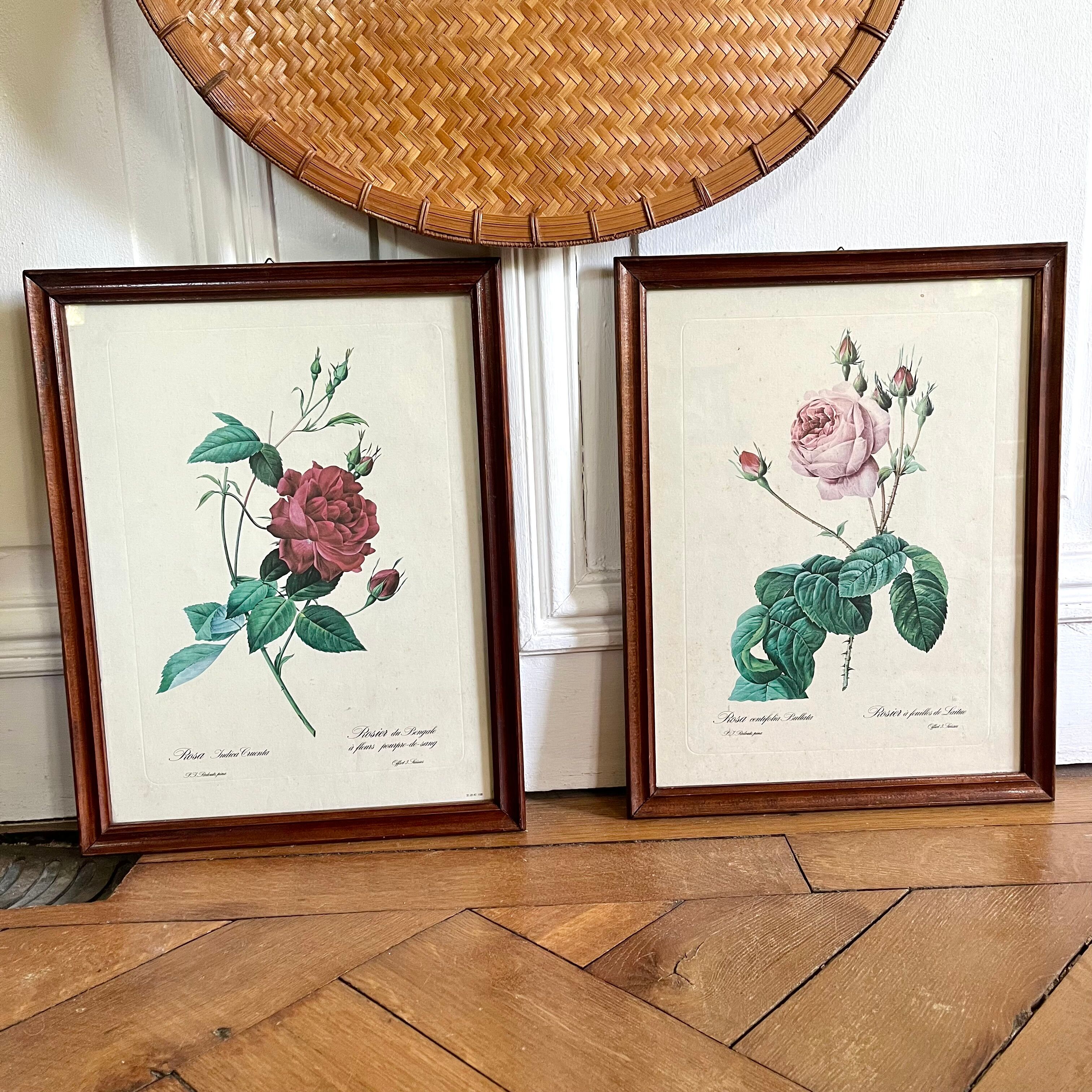 Framed pink botanical posters