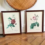 Framed pink botanical posters