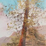 Tuscan landscape by R. Morelli, oil on canvas, late 20th century