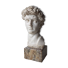 David's head in plaster on signed marble base - Perfect condition
