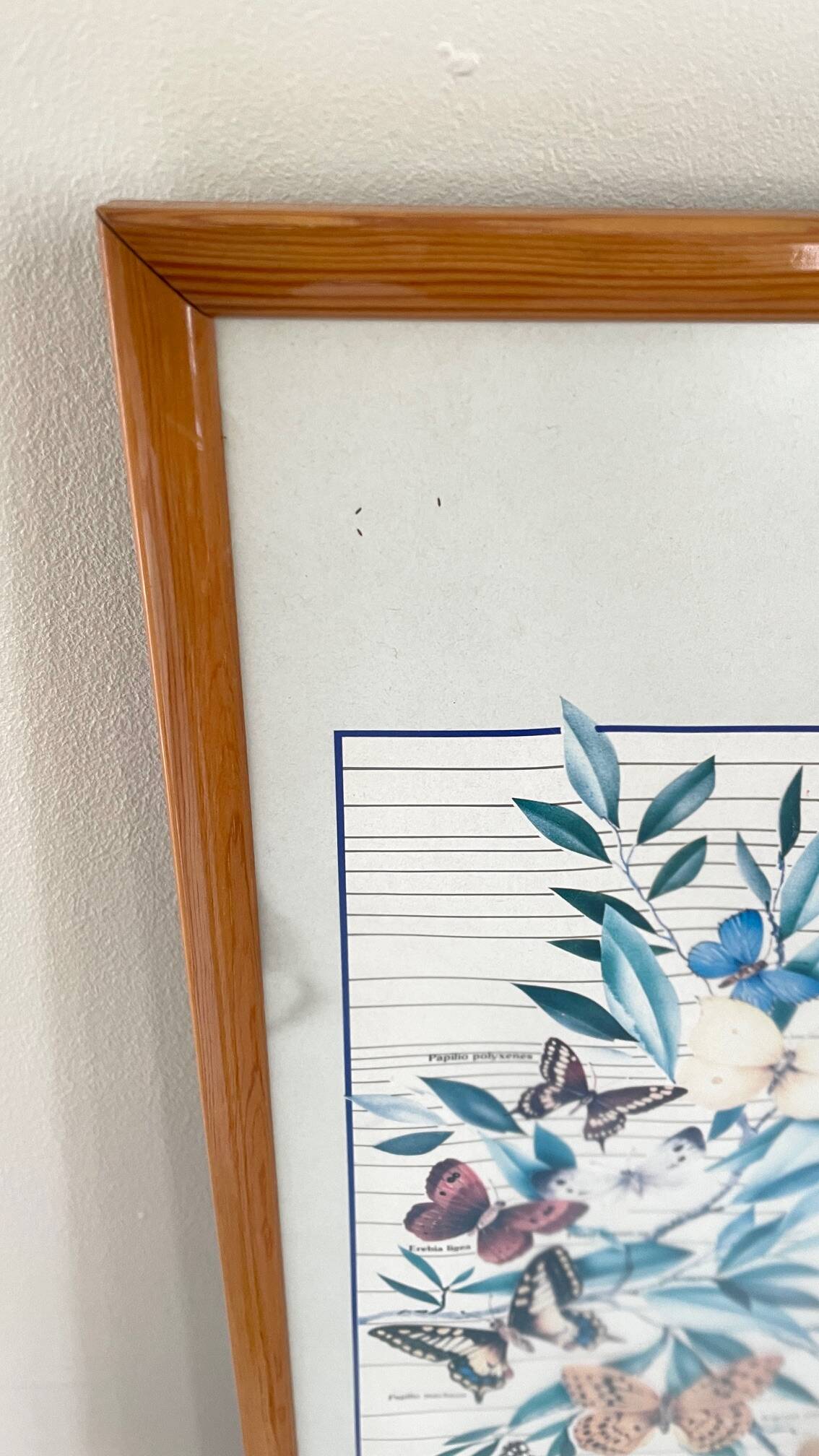 TABLEAU Display BUTTERFLY Italy Vintage