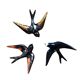 Vallauris birds